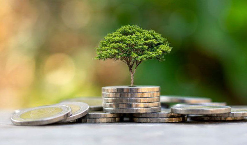 Climate left unattended