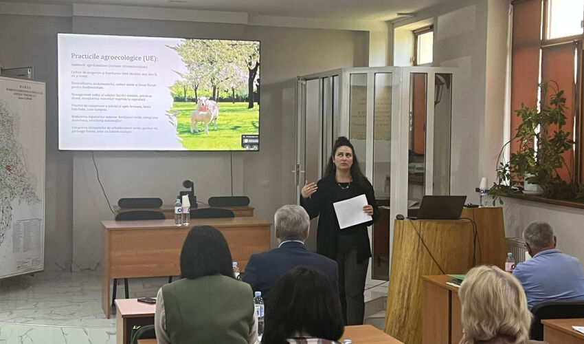 Gestionarea durabilă a pădurilor și a pășunilor – un dialog în cadrul ICAS seminar de silvicultură