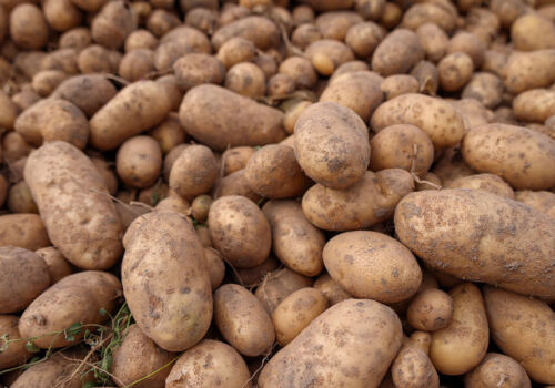 The most expensive potatoes are in Moldova