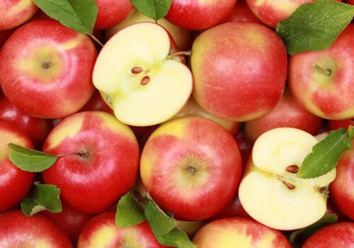 Moldovan industrial apple market at the end of the season: modest volumes, modest prices