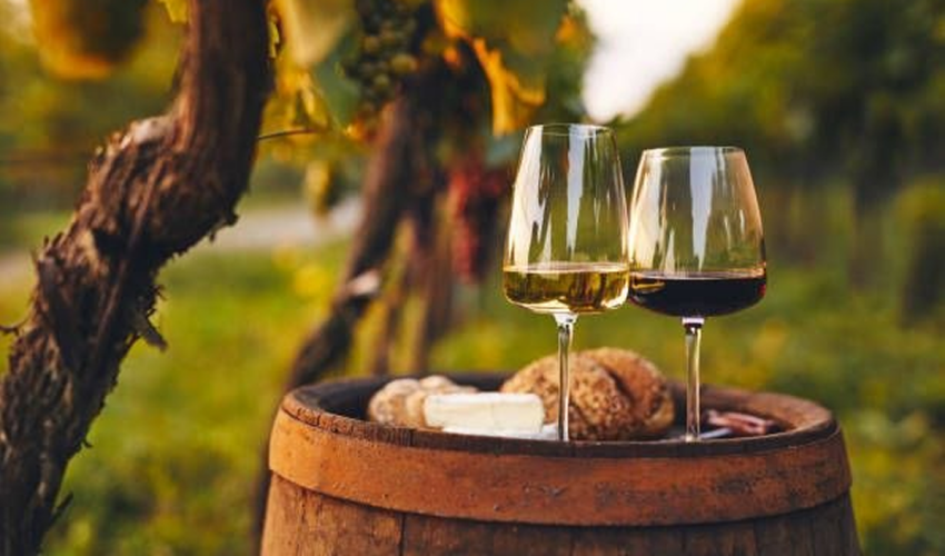 Șansa de a deveni cel mai bun vinificator al anului Ziua Națională a Vinului