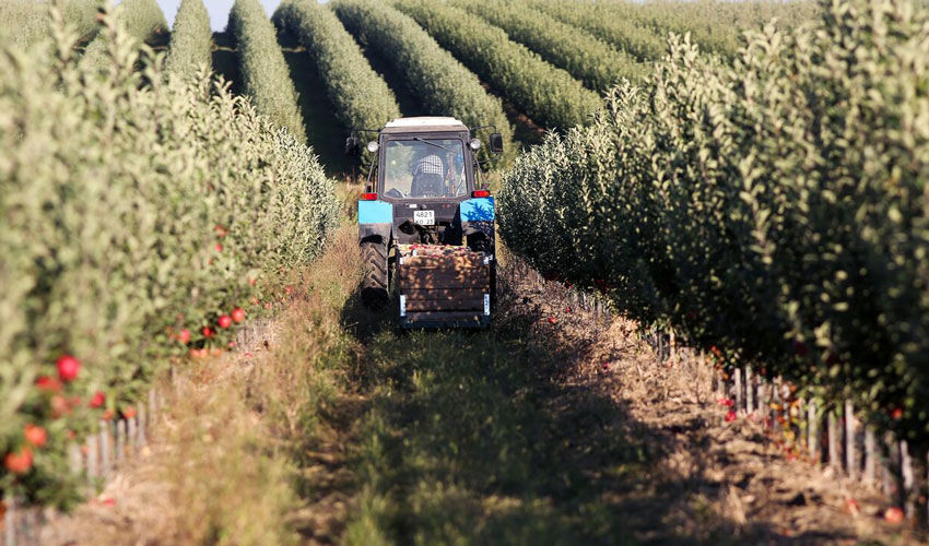 Împrumuturile IFAD au devenit mai ieftine pentru agricultori
