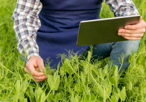 Baza de date necesară pentru o politică agricolă adecvată