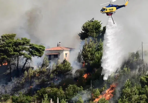 OMS: în ultimii patru ani, numărul incendiilor forestiere din Europa a crescut cu 57 %