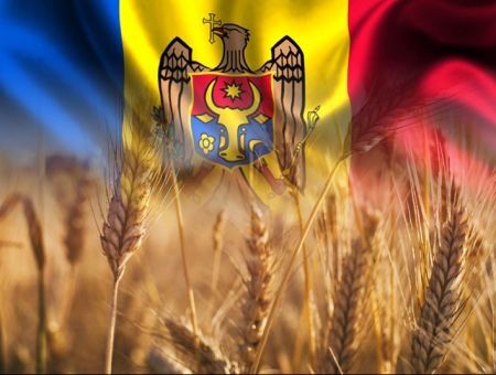 Экспорт пшеницы приостановлен