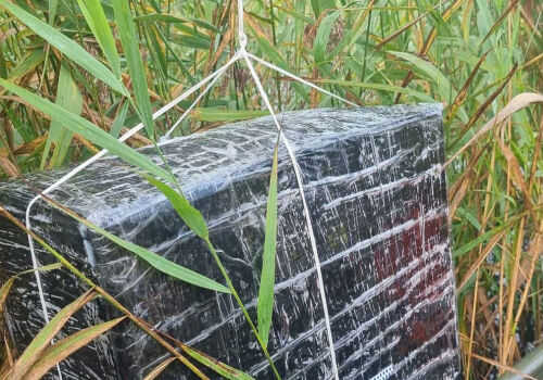 Lituania a protestat față de Belarus din cauza unor meteoprobe de contrabandă