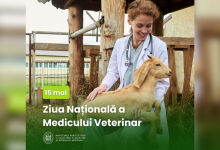 Moldova sărbătorește Ziua Națională a Medicului Veterinar