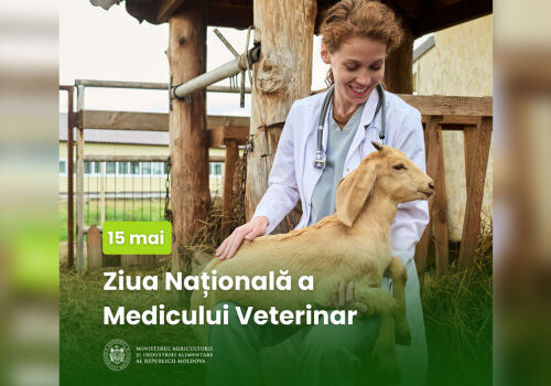 Moldova sărbătorește Ziua Națională a Medicului Veterinar