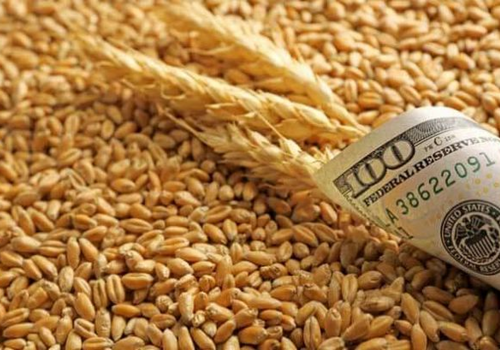 Prețul cerealelor scade din cauza unei posibile armistiții între SUA și Iran Prețul cerealelor scade din cauza unei posibile armistiții între SUA și Iran