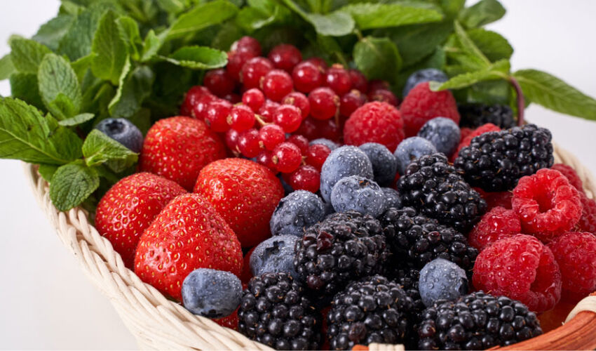 Sezonul de fructe de pădure 2025: în creștere sau în scădere? Sezonul de fructe de pădure 2025: în creștere sau în scădere?