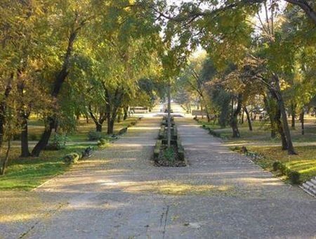 Граждане Бэлць отстояли Мариинский сад