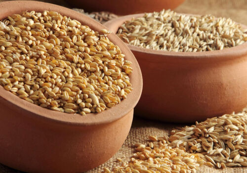 To sell or not to sell grain – that is the question. Expert opinion