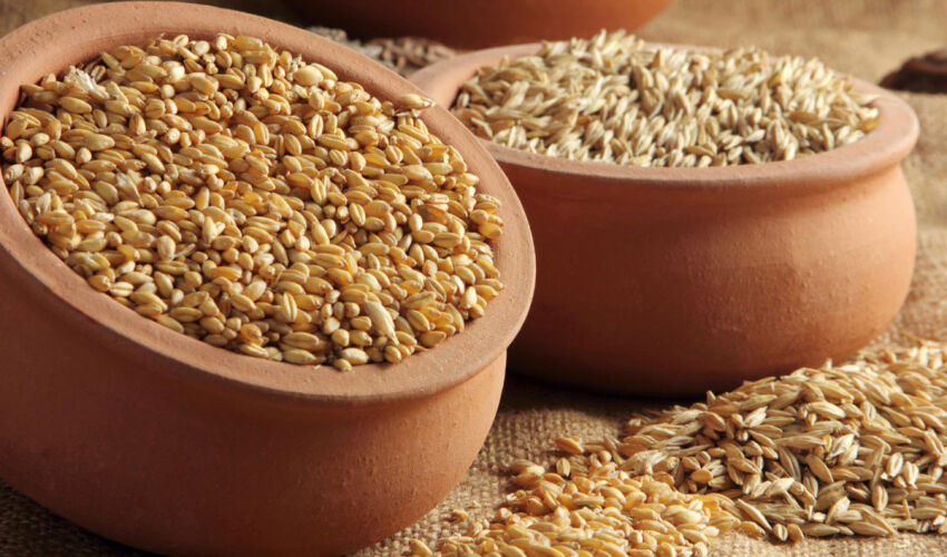 продажа зерна