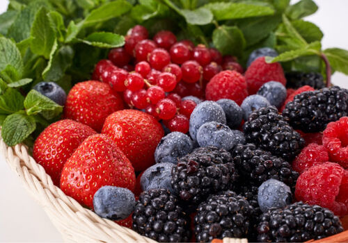 Producătorii moldoveni de fructe de pădure intenționează să extindă plantațiile