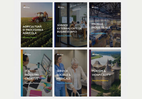 Investment guides for the diaspora