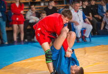 Professional sports clubs in Moldova will be able to operate as limited liability companies or joint-stock companies