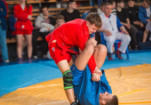 Professional sports clubs in Moldova will be able to operate as limited liability companies or joint-stock companies Professional sports clubs in Moldova will be able to operate as limited liability companies or joint-stock companies