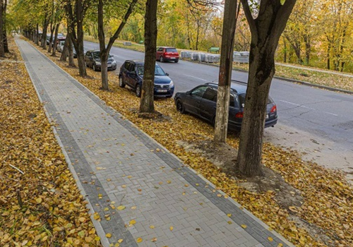 Стартовал ремонт на улице Флорилор в столице