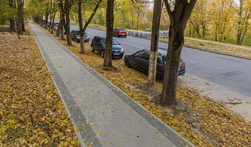 улица Флорилор