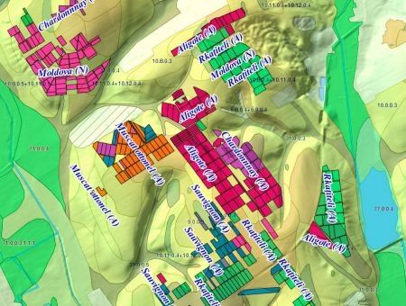 Виноградники Молдовы: увидеть всё