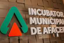 Business incubator in Chisinau showed growth