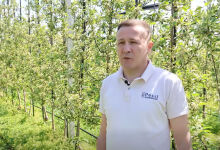 Moldovan company developed an online platform for farmers