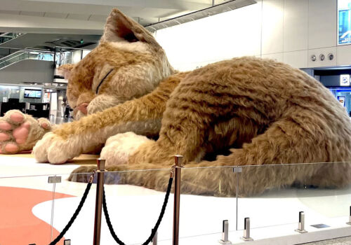 «Катзилла» в аэропорту: восьмиметровый кот, который оживает от прикосновений
