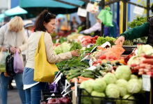 Unsprezece proiecte sunt în curs de pregătire pentru regiuni, inclusiv piețe agricole