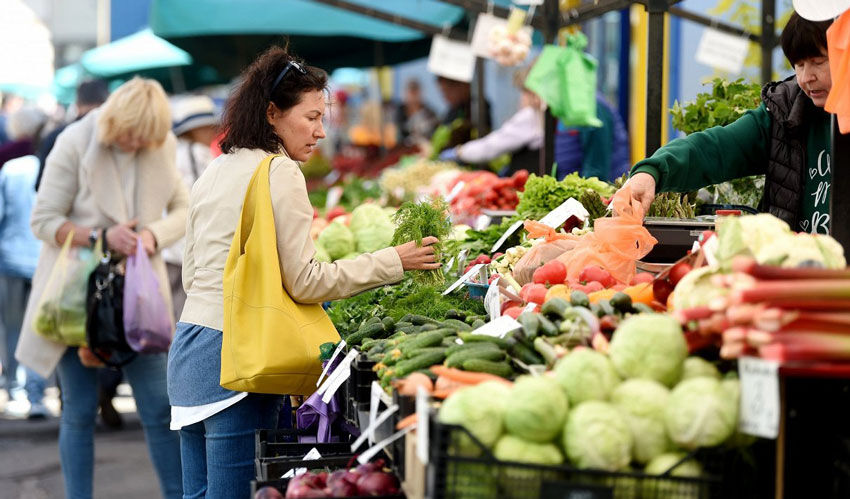 Eleven projects are being prepared for the regions, including agricultural markets