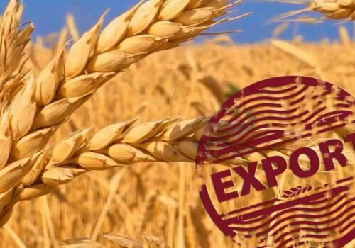 Экспорт молдавской пшеницы: объем выше, цена ниже Экспорт молдавской пшеницы: объем выше, цена ниже