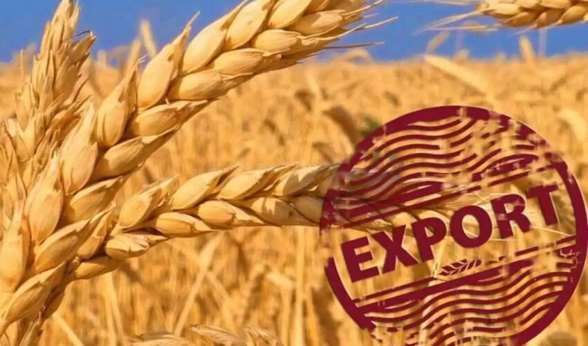 wheat export