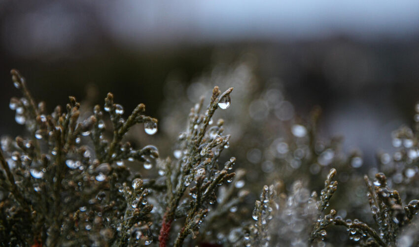 winter precipitation