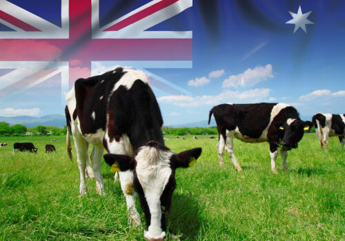 Fermierii europeni sunt împotriva „ușii deschise” pentru produsele agricole din Australia Fermierii europeni sunt împotriva „ușii deschise” pentru produsele agricole din Australia