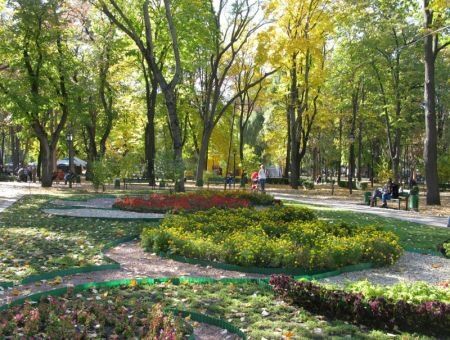 Ревитализация – дело тонкое Ревитализация – дело тонкое