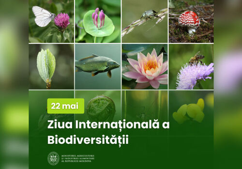 Ziua biodiversității – de dragul ecosistemelor lumii și al securității alimentare