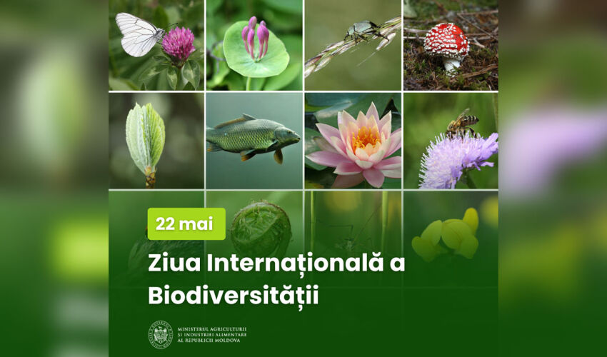 Biodiversity Day