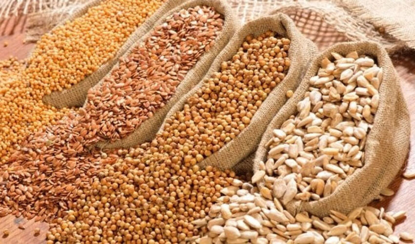 Semințele de plante furajere moldovenești pot fi exportate în țările UE Semințele de plante furajere moldovenești pot fi exportate în țările UE