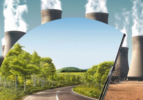 Taxonomia va căpăta puritatea naturii Taxonomia va căpăta puritatea naturii