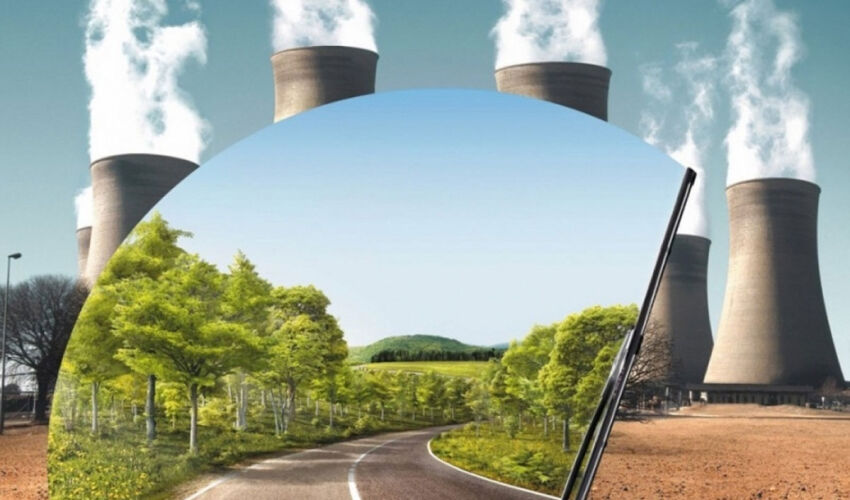 Таксономия возьмется за чистоту природы Экологические проекты