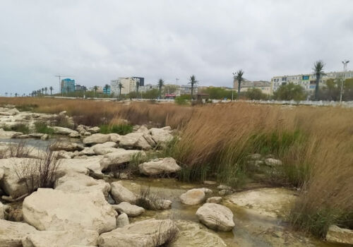 The Earth is losing its largest inland body of water. What is happening to the Caspian Sea?