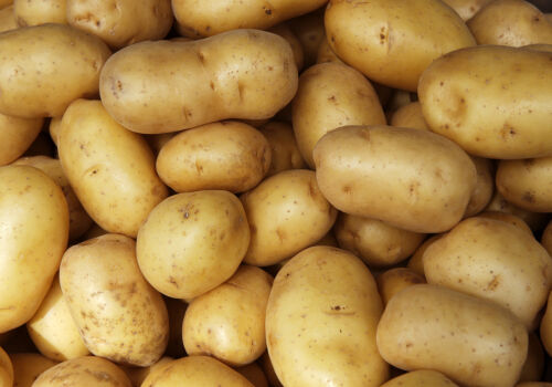 Cartofii sunt aproape lipsiți de valoare în Europa din cauza stocurilor mari Cartofii sunt aproape lipsiți de valoare în Europa din cauza stocurilor mari