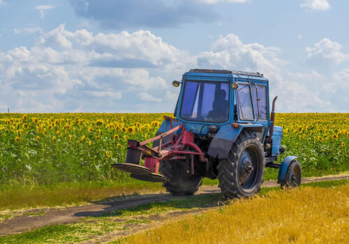 Украине необходимы аграрные дотации Евросоюза Украине необходимы аграрные дотации Евросоюза