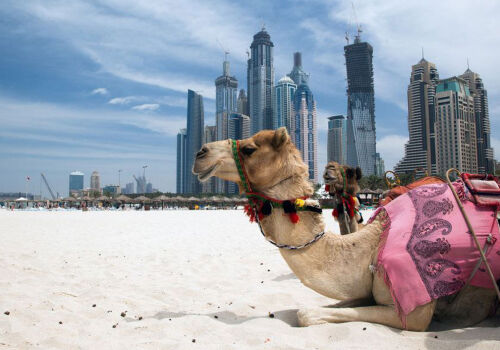 Ущерб туриндустрии  Персидского залива превысит $55 млрд