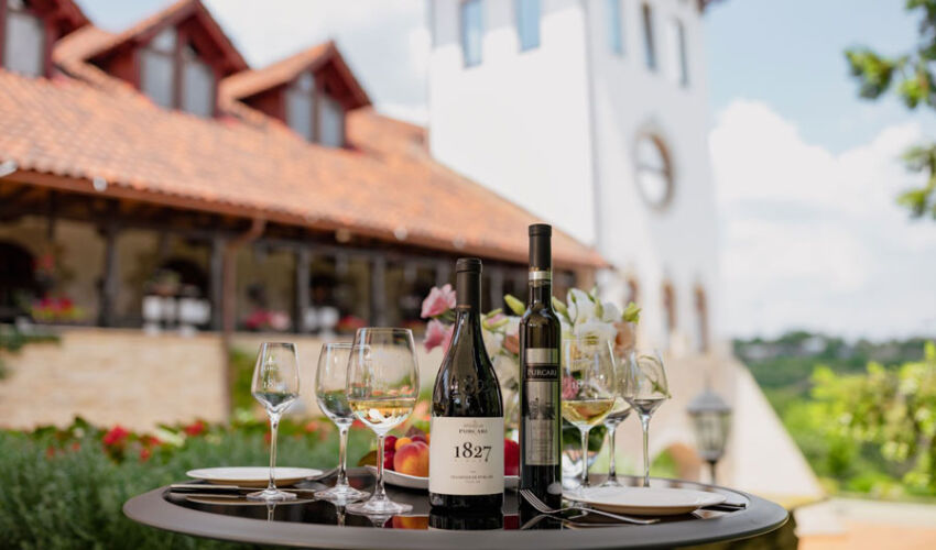 Purcari Wineries este cel mai mare producător de vinuri din România Purcari Wineries este cel mai mare producător de vinuri din România
