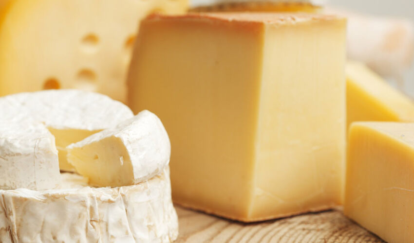 Сырный экспорт Украины держится на Молдове и Казахстане
