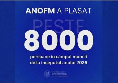 Serviciile de ocupare a forței de muncă au ajutat peste 8.000 de cetățeni să își găsească un loc de muncă