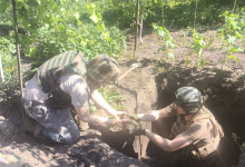 Bomb disposal experts defused 21 explosive devices dating from the war
