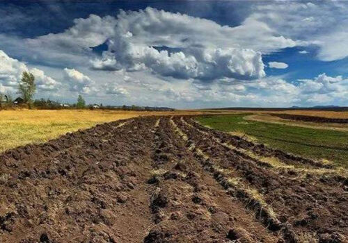 Ukraine’s agroholdings lose and find land