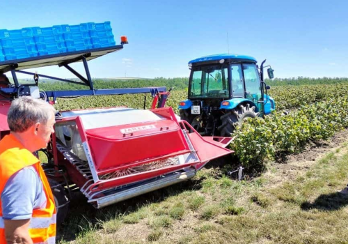 Cum pot grădinarii să rezolve această problemă: combină agricolă sau muncitor sezonier? Cum pot grădinarii să rezolve această problemă: combină agricolă sau muncitor sezonier?