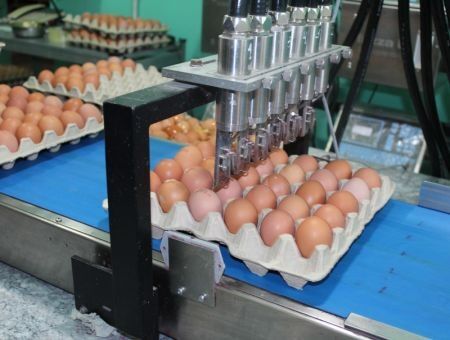 ООО Dant-Agro — больше, чем птицефабрика ООО Dant-Agro — больше, чем птицефабрика